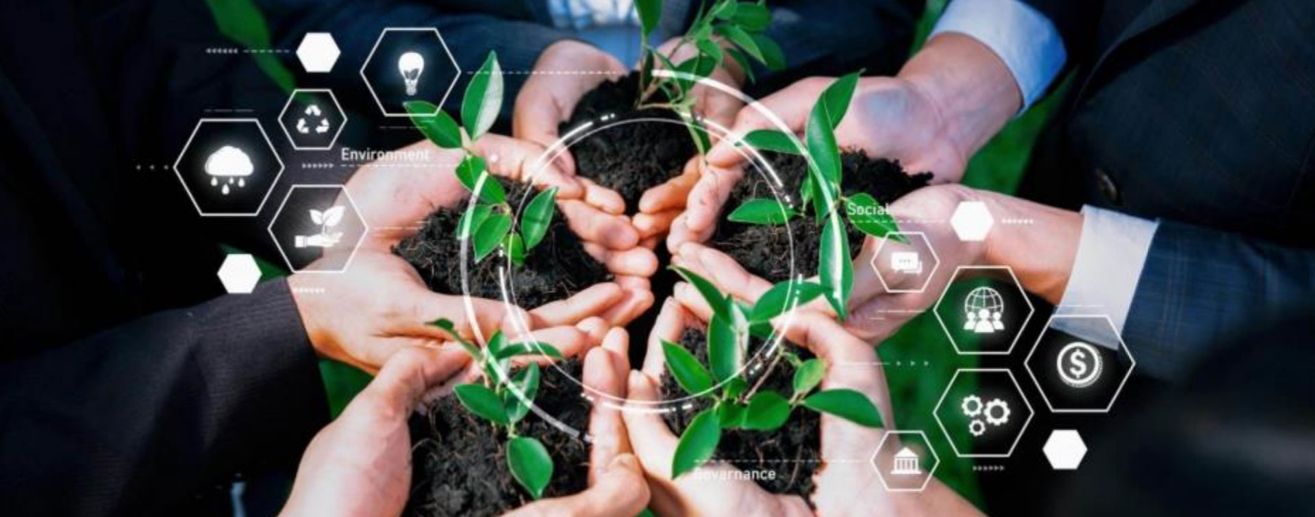 who-we-are-sustainability