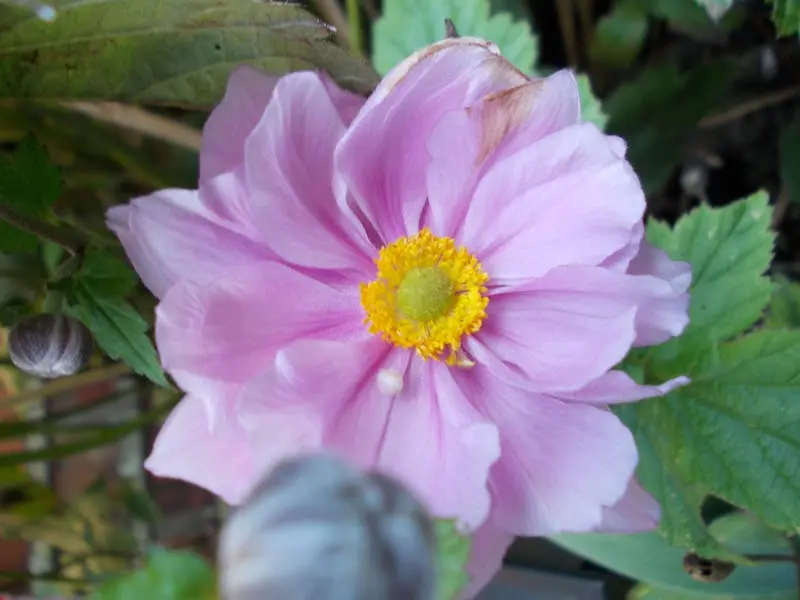 global-teams-one-standard-supporting-international-clubs-356790-1763726390